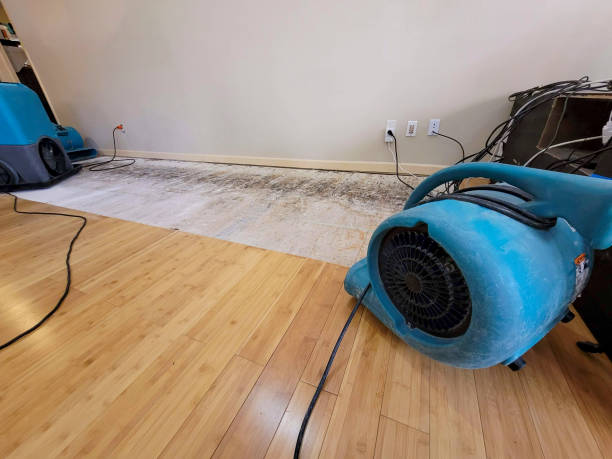 Professional Flood Damage Cleanup technician working in Vienna, VA